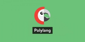 Sửa lỗi ngôn ngữ redirect về En của Polylang plugin trong WordPress
