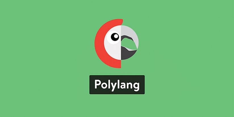 Sửa lỗi ngôn ngữ redirect về En của Polylang plugin trong WordPress