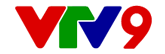 Đài truyền hình VTV9